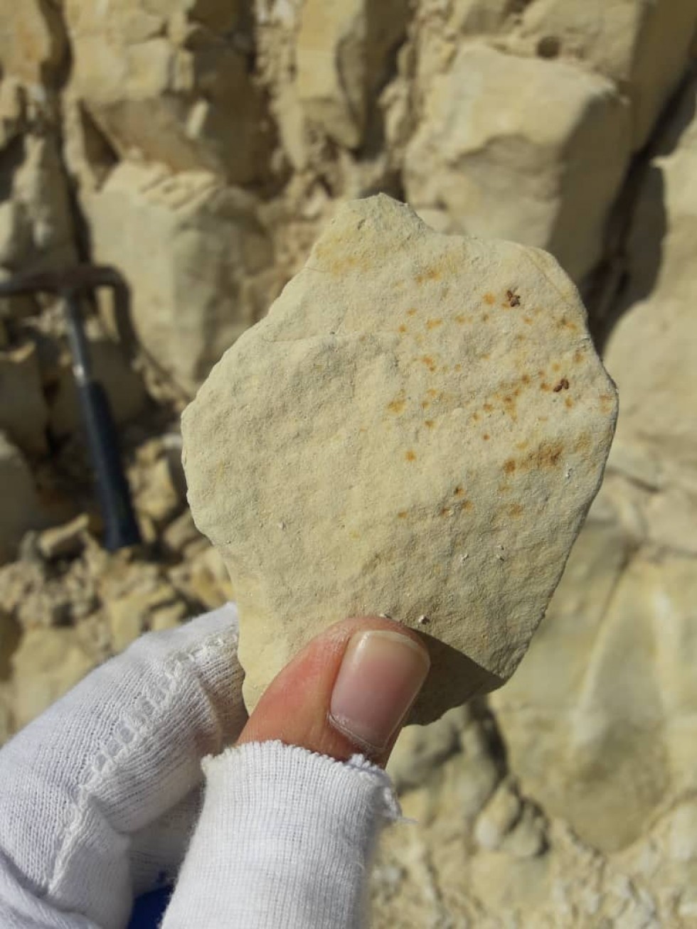 ثبت محدوده های معدنی و انجام تست های صنعتی در دستور کار قرار گرفت