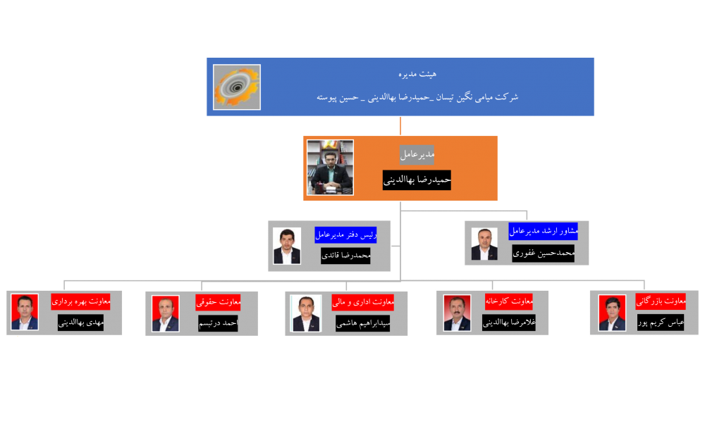 چارت تشکیلاتی شرکت