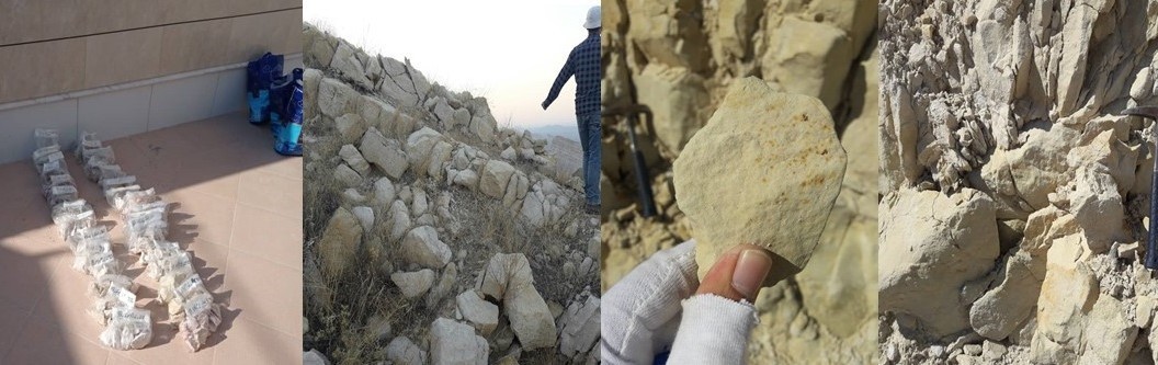 بدء عمليات البحث الميداني وأخذ العينات في لامرد